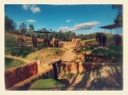 La Reserva Castillo de las Guardas