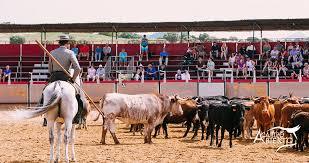 el Mirador a Campo Abierto