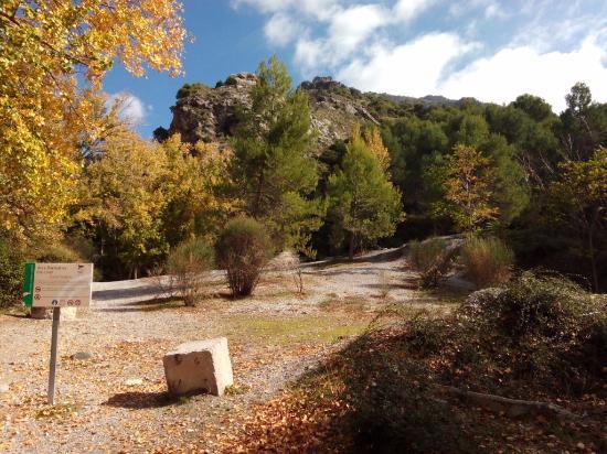 el Área Recreativa Rio Dilar