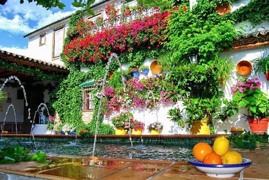 Museo del Anis