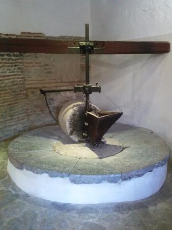 Museo Almazara