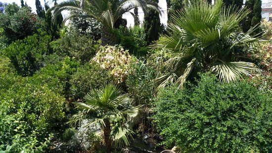 La Almunya del Sur Botanical Garden