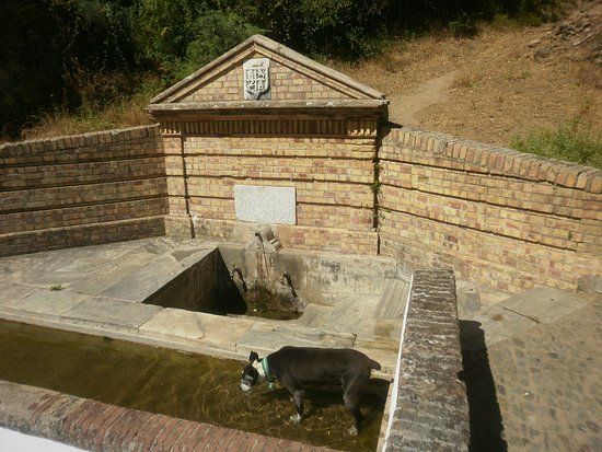 la Fuente del Concejo
