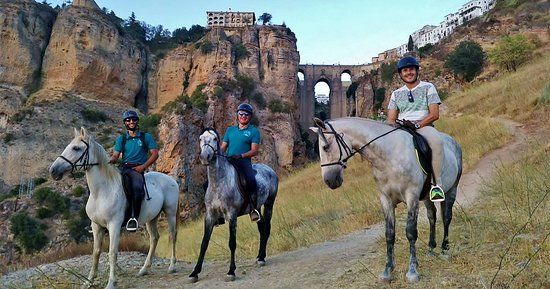 Paddock Paradise Ronda