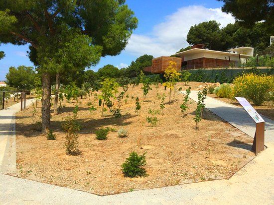 Botanical Garden Detunda- Cueva de Nerja