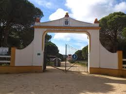 la Pineta de Hierro