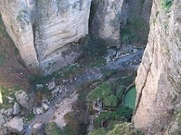 Guadalevín