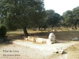 Pilar De Coca