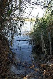 Albufera de Adra