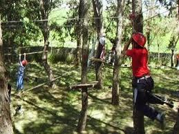Bosque Suspendido