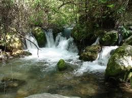 Sendero del rio Majaceite