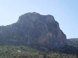 Tajo Algarin