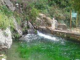 Fuente del Rio