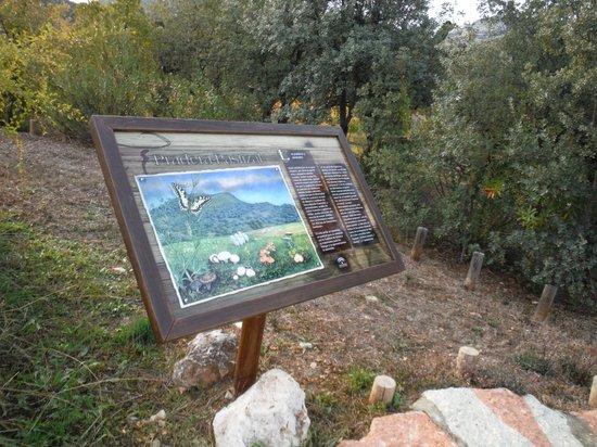 Micologico "La Trufa" Garden