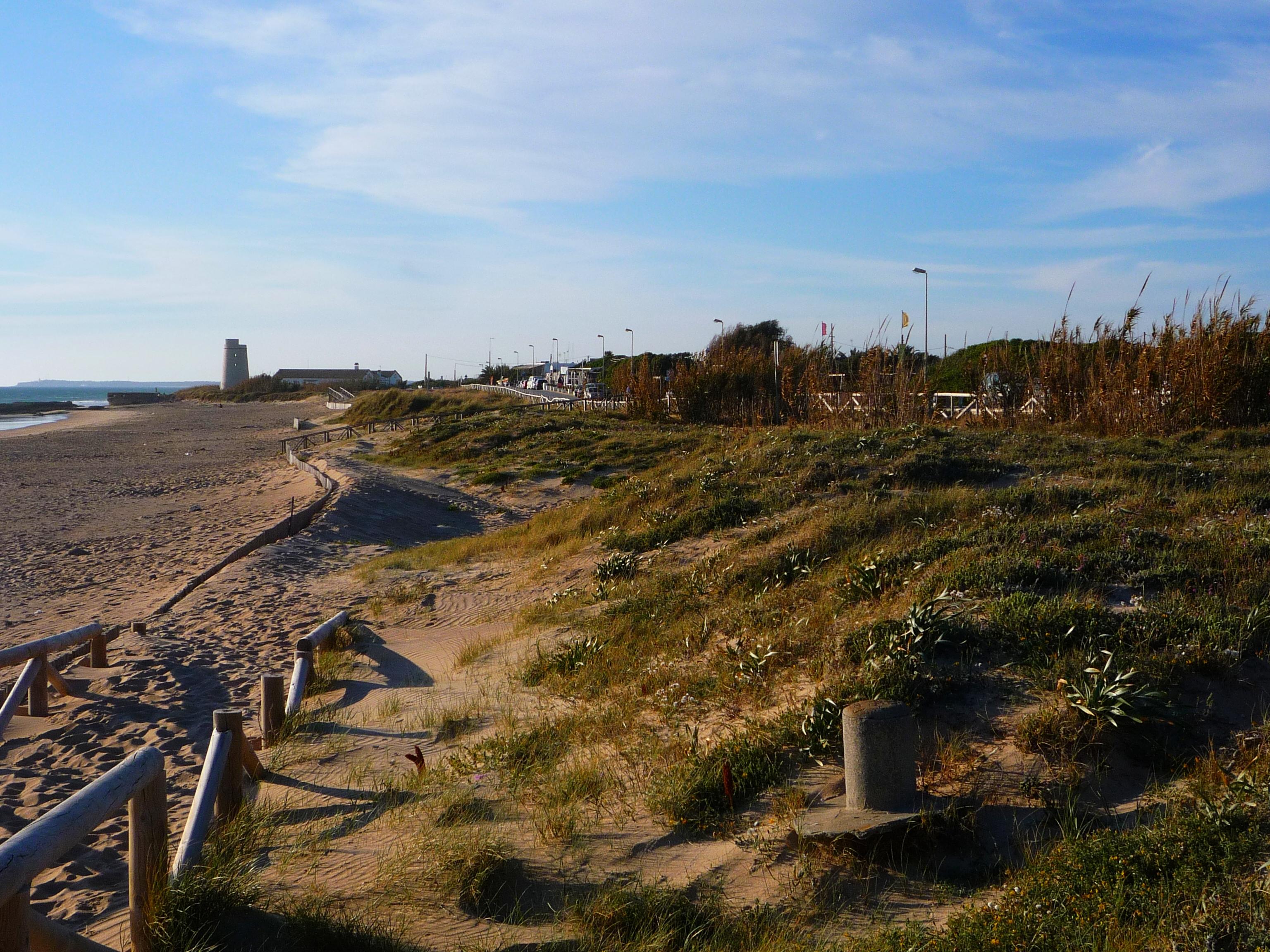 Torre del Palmar