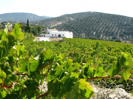 Bodegas Lagar Blanco