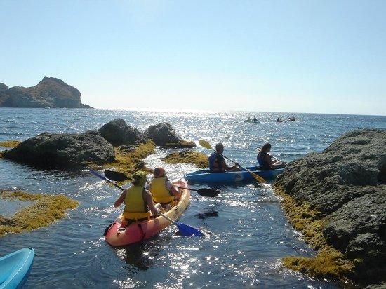 Happy Kayak