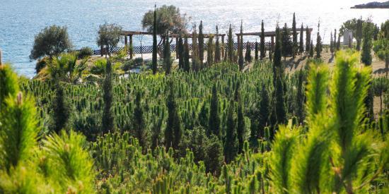 Parque del Mediterraneo