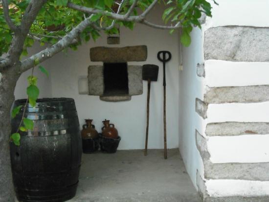 Turismo Las Lagartosas