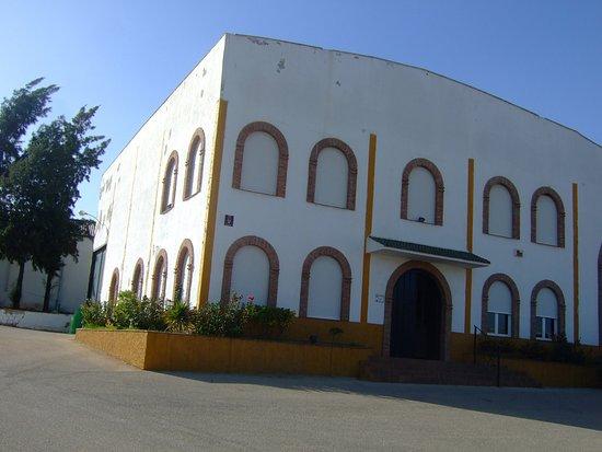 S.C.A. de la vid Santa Gertrudis