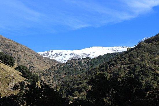 La Vereda de la Estrella