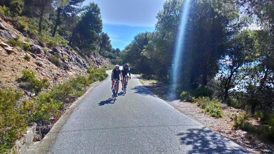 Centro Ciclismo Andalucia
