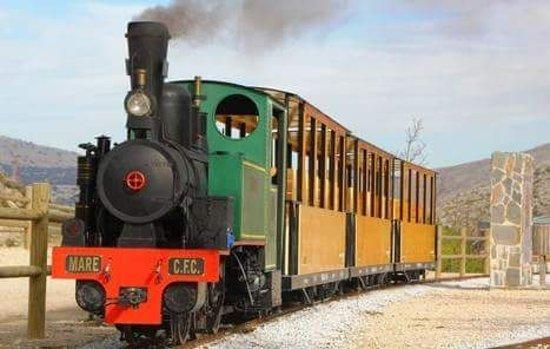 Tren del Llano