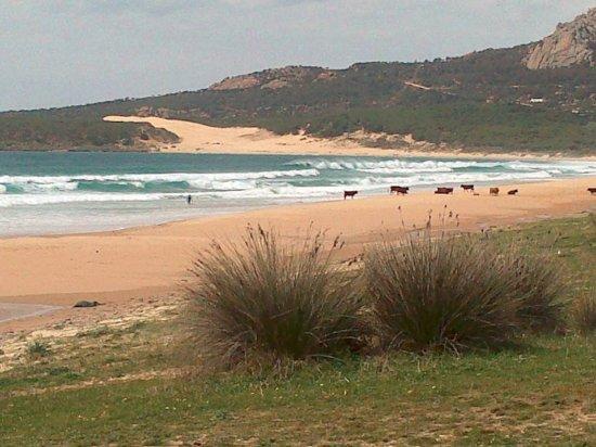 Sailboards Tarifa Sirocco Sportscenter