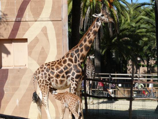 Zoobotánico Jerez