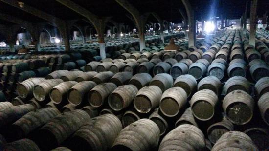 Bodegas Marqués del Real Tesoro