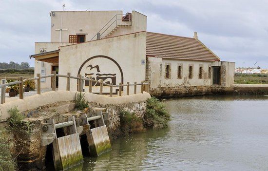 Ecomuseo Molino Mareal El Pintado