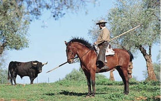 Dehesa la Calera