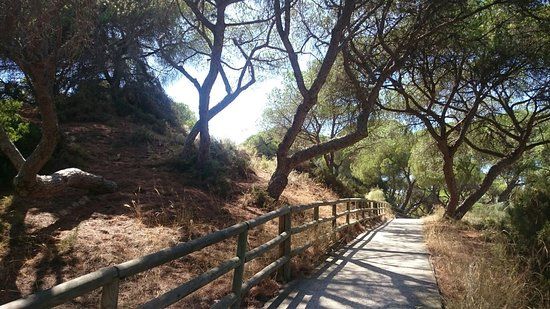 los Enebrales de Punta Umbría