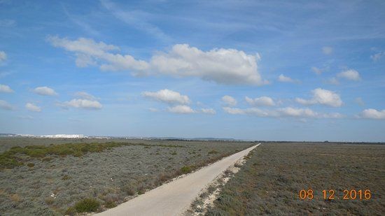 il Parco Metropolitano Marisma de los Toruños y Pinar de la Algaida