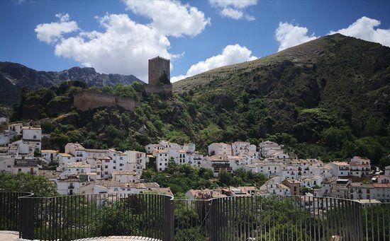 il Castello dell'Edera