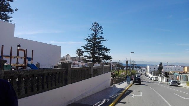 Whale Watch Tarifa