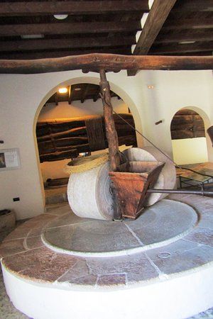 Museo del Aceite