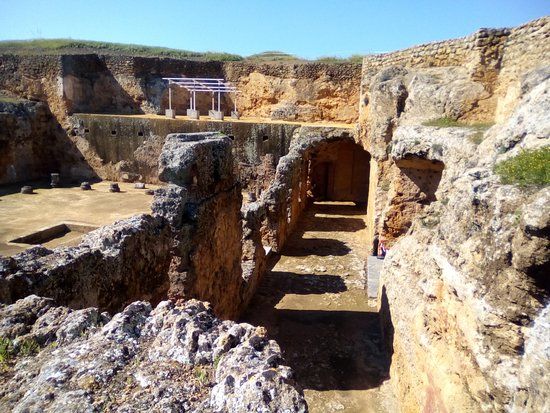 Roman Necropolis