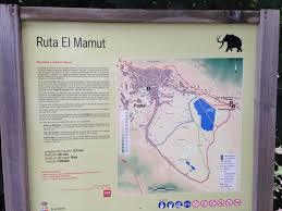 Mamut route