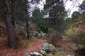 Llanos del Endrinal