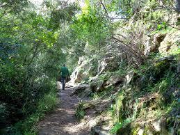 Sendero del Aguila