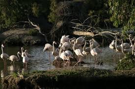 la Cañada de los pájaros