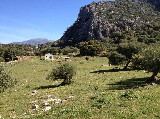 Area Recreativa Cintillo y Aguas Nuevas